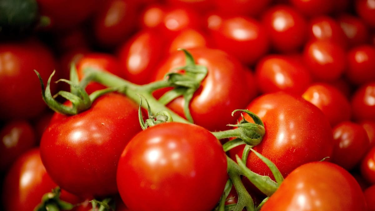 Tomato: Selectively backup and restore configuration
